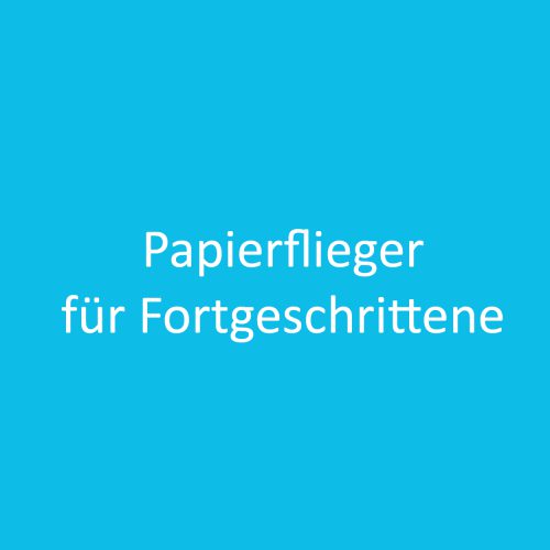 Papierflieger_2