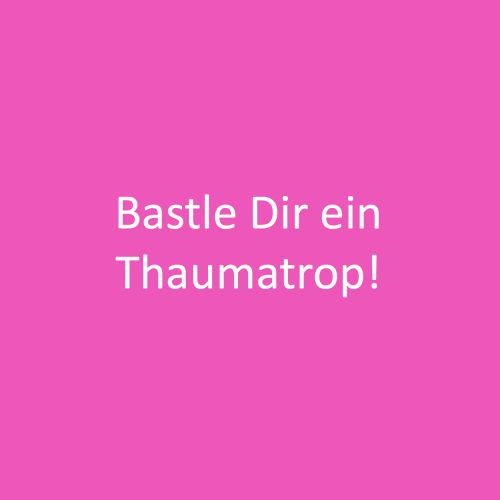 Thaumatrop